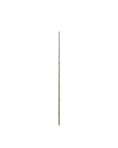 Natural bamboo, Giardino Verde, H90 cm, Ø 10-12 mm