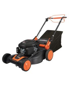 Korrëse bari me benzinë, Dormak CR 55L, Loncin 4 kohësh, 166 cm³, 53 cm, 30-80 mm, kosh 70 L, 3000 m², me rrota aktive