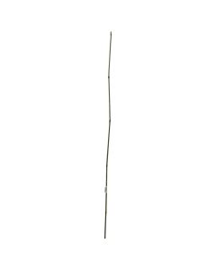Natural Bamboo, Giardino Verde, H150 cm, Ø 10-12 mm