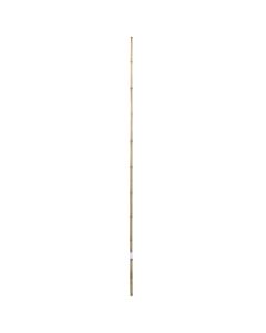 Natural Bamboo, Giardino Verde, H210 cm, Ø 20-22 mm
