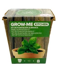 Vazo për çeljen e borzilokut, Grow Me Kitchen, 1 g