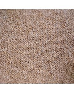 Carpet, Pegasus, polypropylen, beige, 4 m x 6.5 mm