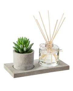 Set lule dekoruese dhe aromatizues ambjenti