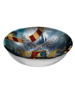 Tas servirje, Harry Potter, plastike, 1 copë