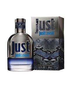 Parfum për meshkuj, Roberto Cavalli, Just Cavalli, EDT, 30 ml, qelq dhe metal, gri, 1 copë
