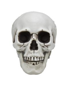 Halloween skull, 20x16x15 cm