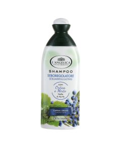 Shampo për balancimin e sebumit, L'Angelica, plastikë, 250 ml, e bardhë dhe e gjelbër, 1 copë