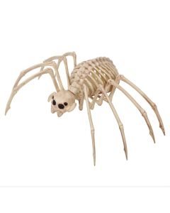 Spider skeleton, plastic, 35x20 cm, beige, 1 piece