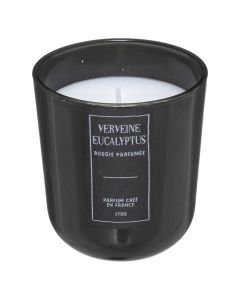 Scented candle with ceramic holder, Eucalyptus wood scent, white, D8 x H8.5 cm, 170 g