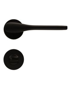 Door handle with circular rosettes, for toilet
