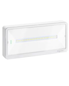 Ndriçues emergjence LED, jashte murit, Exiway Light, me kohezgjatje baterie te selektueshme, deri ne 250 lm, IP42,