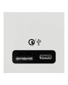 Prize USB 5V, type A+C, Fast Charge