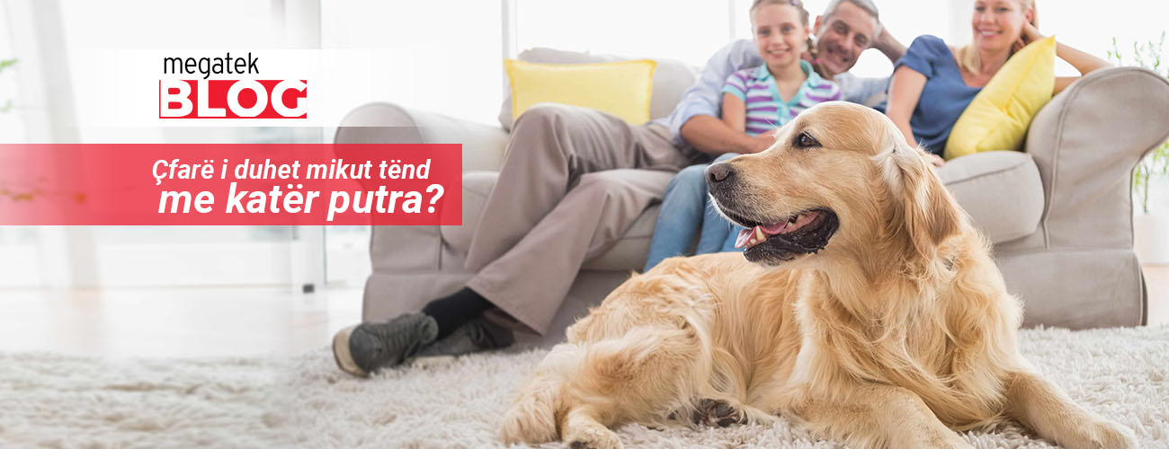 Çfarë i duhet mikut tuaj me katër putra?