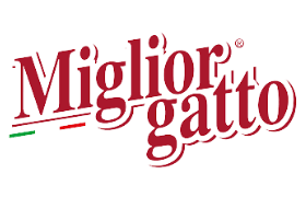 Miglior Gatto